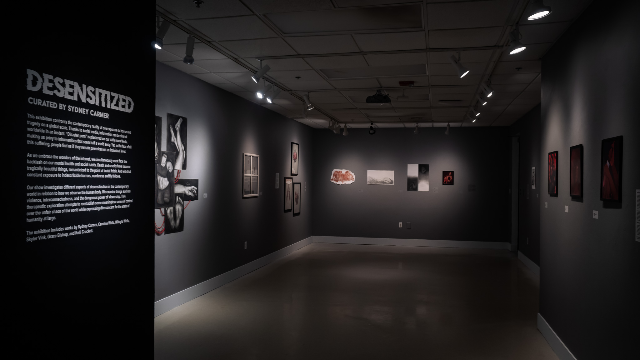 Desensitized gallery exhibit